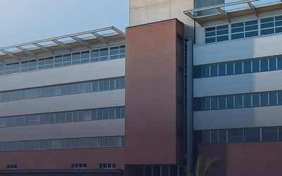 O InPETU hub recebeu visitantes de 4 continentes e o mapa ainda está crescendo